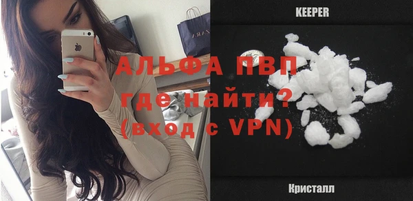 гидра Богородицк