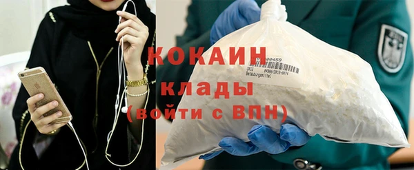 гидра Богородицк
