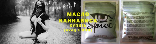 гидра Богородицк