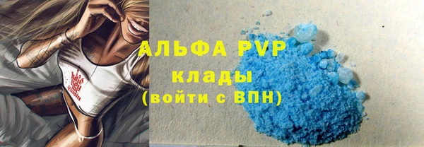 гидра Богородицк