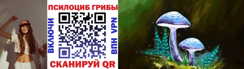 Псилоцибиновые грибы мицелий  Короча 